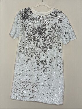 Zara Silver Sequin Short Sleeve Mini Dress